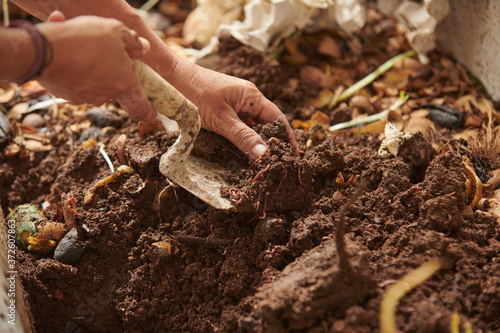 Anonymous crop farmer with garden trowel taking soil with worms from compost pile in countryside photo