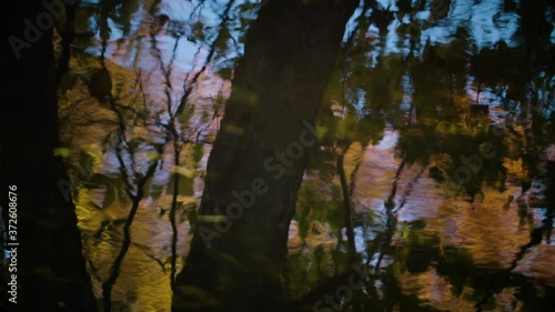 Semi-Abstract Beautiful fall season foliage as reflected in a New England river