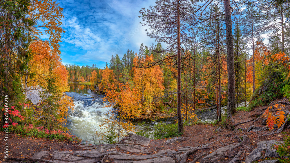 Powerful wild river flowing through magnificent autumn forest with colorful trees against cloudy blue sky Powerful wild river flowing through magnificent autumn forest with colorful trees against cloudy blue sky