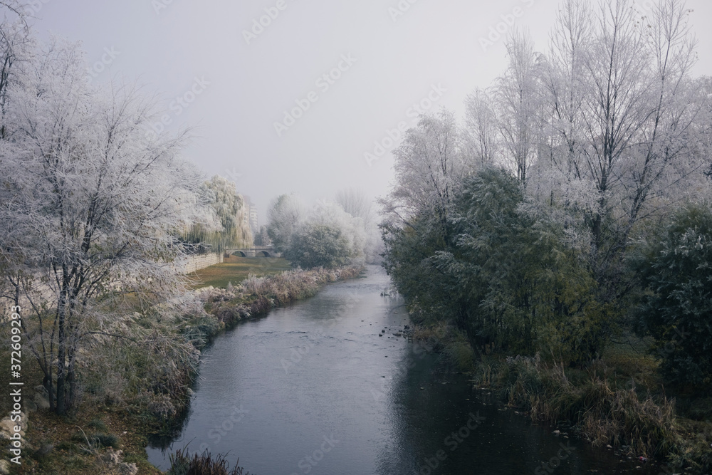 Amazing view of calm garden with river and trees covered with frost during winter in Burgos Amazing view of calm garden with river and trees covered with frost during winter in Burgos