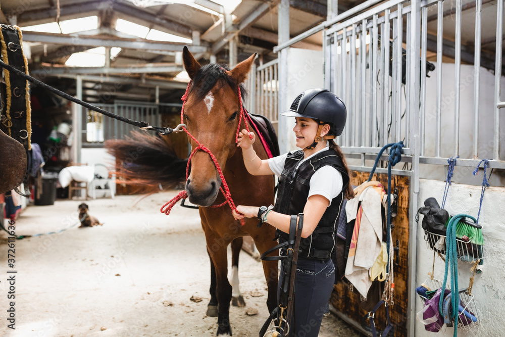 Content female equestrian in helmet and with bridle preparing chestnut horse for dressage while standing in barn Content female equestrian in helmet and with bridle preparing chestnut horse for dressage while standing in barn