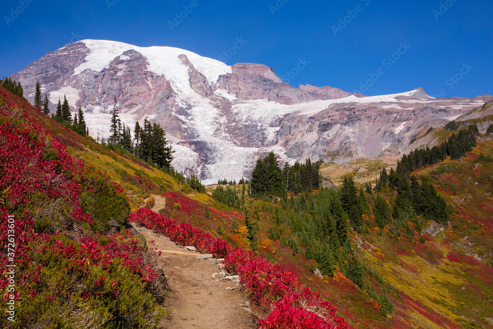 Obraz premium One of many hiking trails surrounded by stunning fall foliage at Mt. Rainier National Park in Washington state