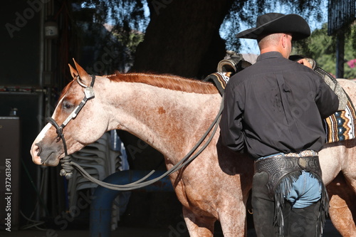 Red Roan photo