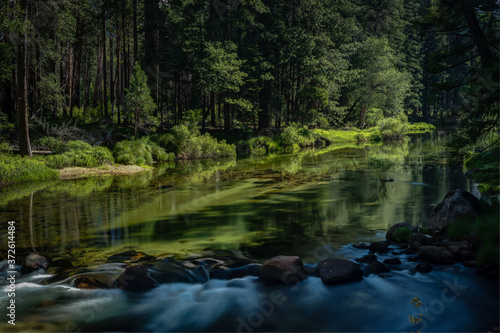 Yosemite National Park America's International Treasure