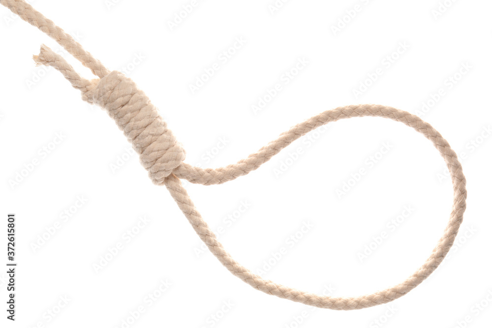 Rope with loop on white background Rope with loop on white background