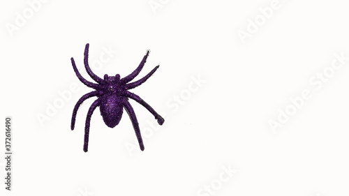 Purple spider model on white background