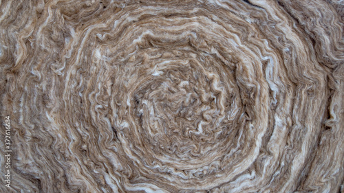 A fragment of the end face of a rolled-up insulation, noise-insulating mineral construction wool with layers of gray and white color with hairy fluffy wavy curls. Wool abstract background.
