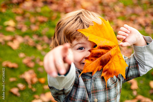 Autumnal mood. Little child boy in autumn orange leaves, outdoor.