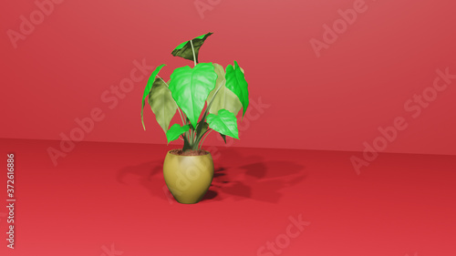 3D illustration;A plant with green leafs in pot on red background	