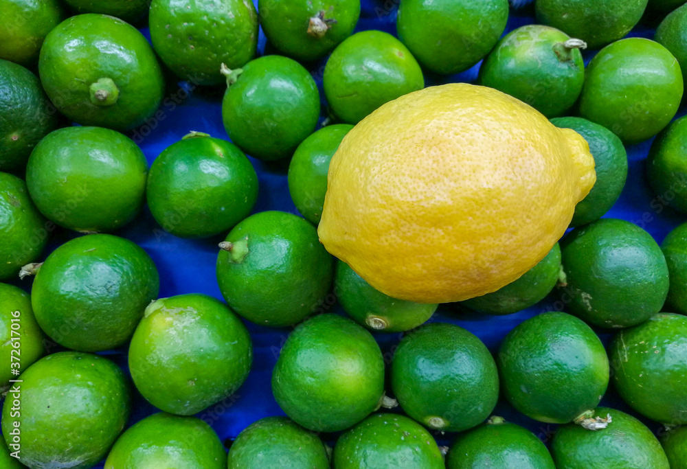 The yellow lemon stands out from the other green lime on the market. The yellow lemon stands out from the other green lime on the market.