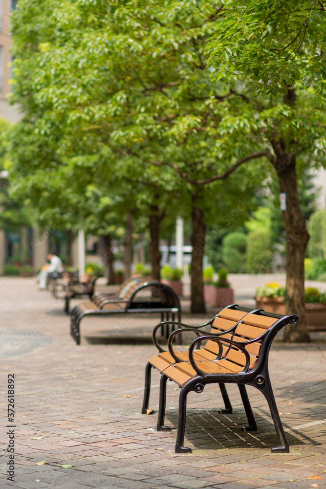 bench and tree in the park of italian street in tokyo, japan bench and tree in the park of italian street in tokyo, japan