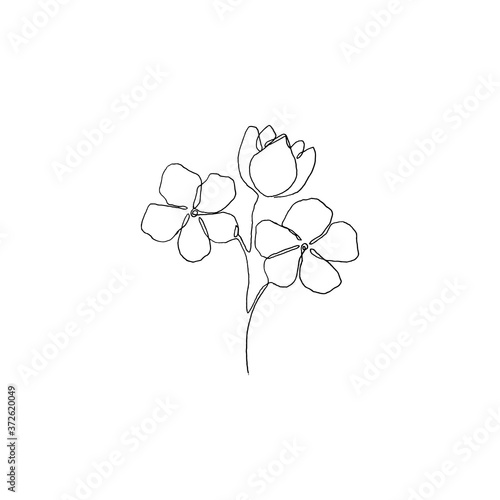 Simple continous line art. Minimalist vector illustration. Great for invitation  greeting card  packages  wrapping  premade logo  business card  stationery  etc. 