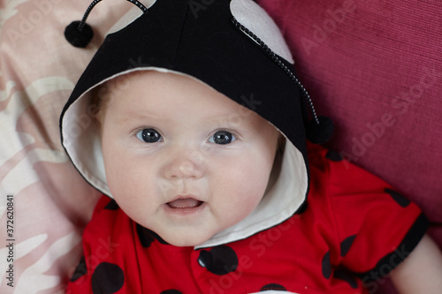 Cute little baby dressed up in homemade Ladybird outfit