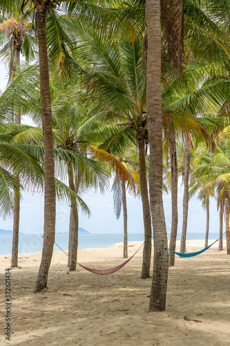 Coconut palm trees on white sandy beach in Danang, Vietnam. Travel and nature concept