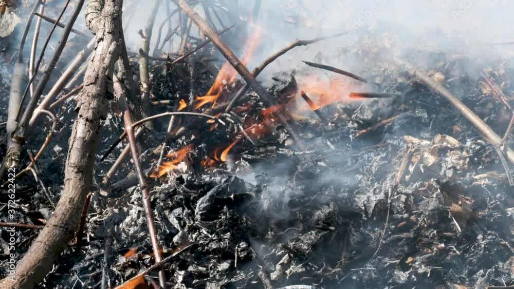 Yard waste pile burning in a backyard bonfire Yard waste pile burning in a backyard bonfire