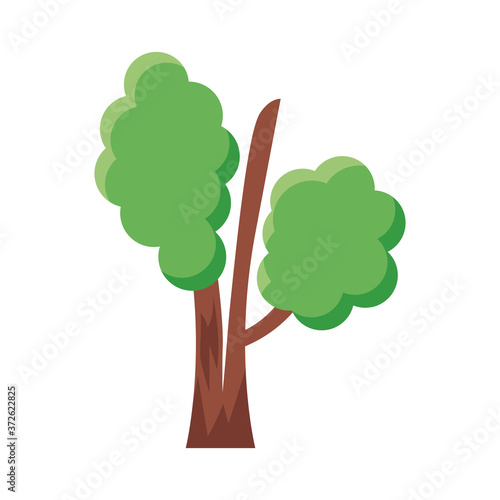 branched tree flat style icon