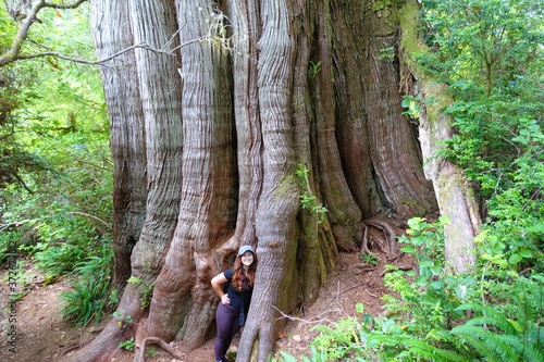 A young female tourist standing beside a huge old red cedar along the big tree trail on Meares Island, outside Tofino, British Columbia, Canada. photo