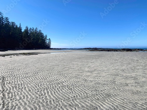A beautiful photo of a beach at low tide and the amazing ripple pattern in the sand as it dries, with a forest in the background, on a beautiful summer day at nels bight, in Cape Scott Provincial park