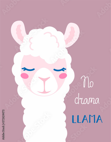 Funny poster llama alpaca with the inscription No drama llama. Vector illustration of a furry beast a unique design for cards, posters, tshirts, invitations. White llama on a purple background