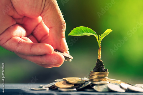 Принти на полотні Return on investment concept and saving money for profit
Seedling on a blurred n
