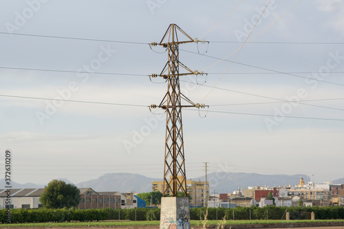 power lines in the middle of the orchards