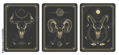 Modern magic witchcraft taros cards with animal skulls vector illustration