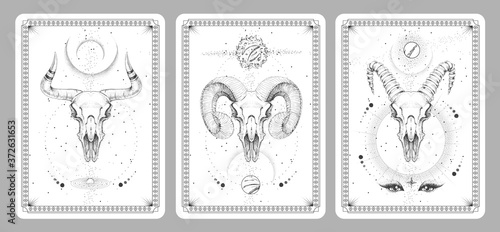 Modern magic witchcraft taros cards with animal skulls vector illustration