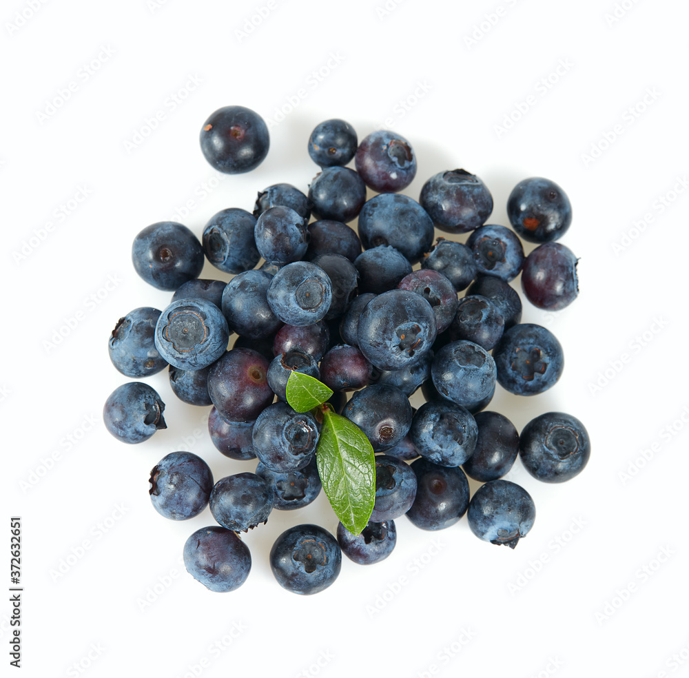 fresh blueberries isolated on white background fresh blueberries isolated on white background