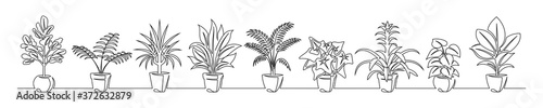 Set of continuous line drawing of a flowers in a pots photo