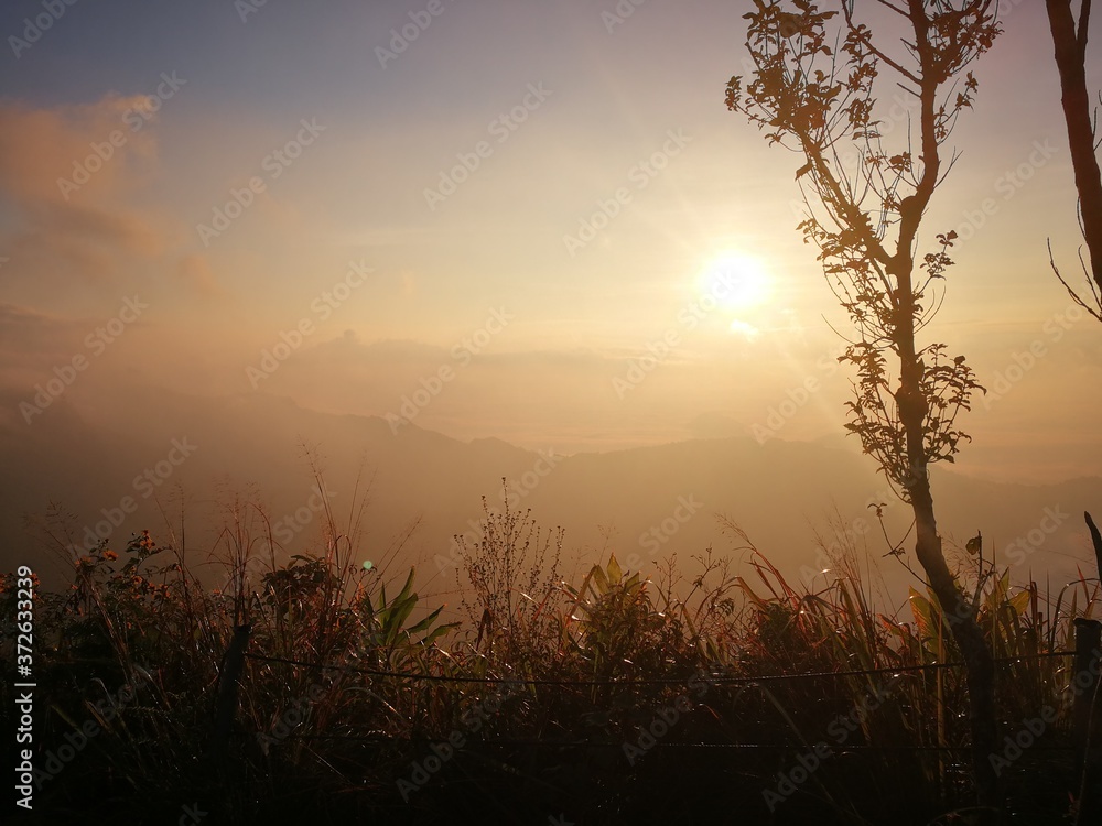 Obraz premium Phu Chi Fa