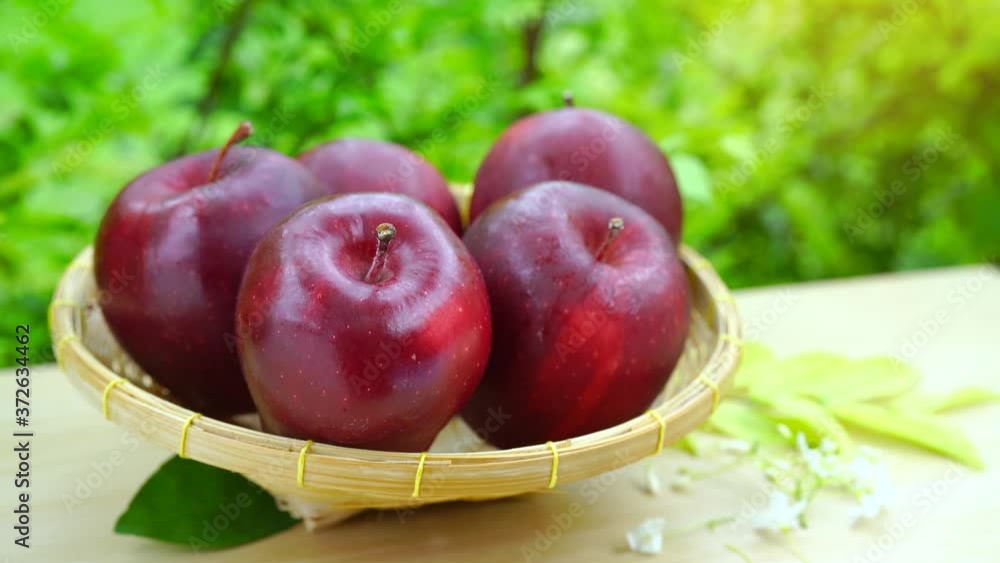 Fresh Apple fruits in Bamboo basket on wooden table in garden, Red Apples group freshly picked in a basket on a wooden table. Fresh Apple fruits in Bamboo basket on wooden table in garden, Red Apples group freshly picked in a basket on a wooden table.