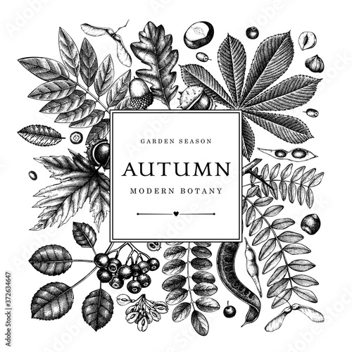 Hand sketched autumn leaves design. Elegant botanical template with autumn leaves, berries, seeds, forest plants sketches. 