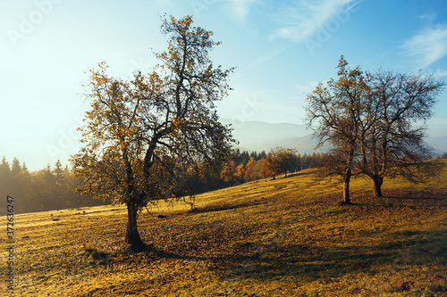 beautiful mountain landscape