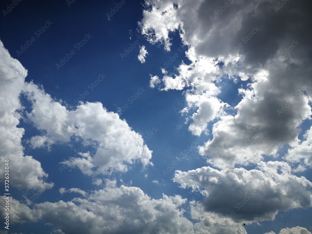 Obraz premium Canossa The Walking Afternoon