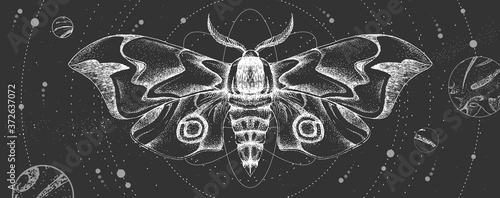 Modern magic witchcraft card with solar system and butterfly. Hand drawing occult vector illustration