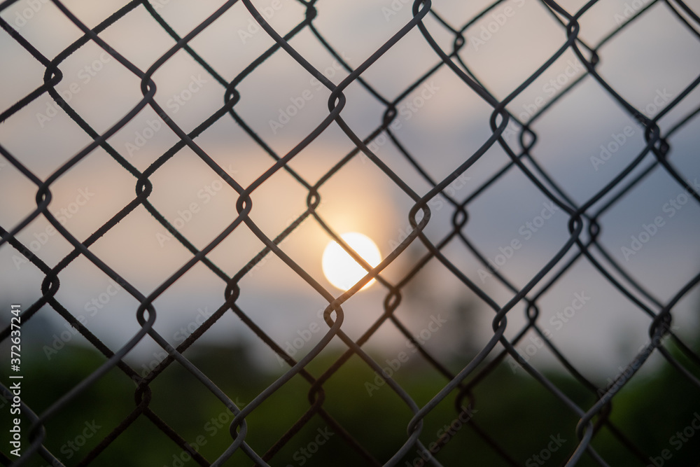 Fototapeta premium Sunset through wiring in a garden in Hanoi