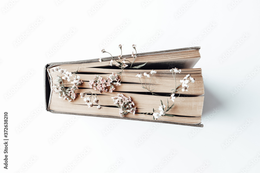 Old book with field flowers as bookmarks on white background. Photo Old book with field flowers as bookmarks on white background. Photo