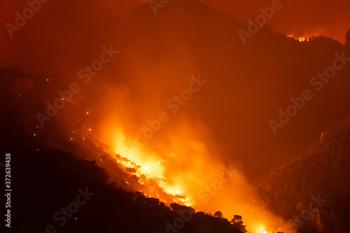 Forest under fire at Loutraki in Greece. 