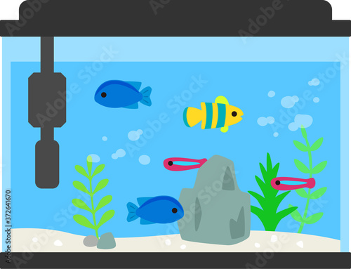 水槽で泳ぐカラフルな熱帯魚