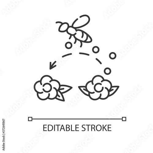 Pollination linear icon. Working bee collecting nectar. Beekeeping thin line customizable illustration. Contour symbol. Honeybee pollinating flowers vector isolated outline drawing. Editable stroke