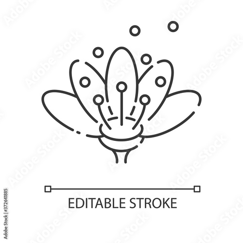 Pollen linear icon. Natural flowers reproduction. Pollination, seasonal allergy, beekeeping thin line customizable illustration. Contour symbol. Vector isolated outline drawing. Editable stroke