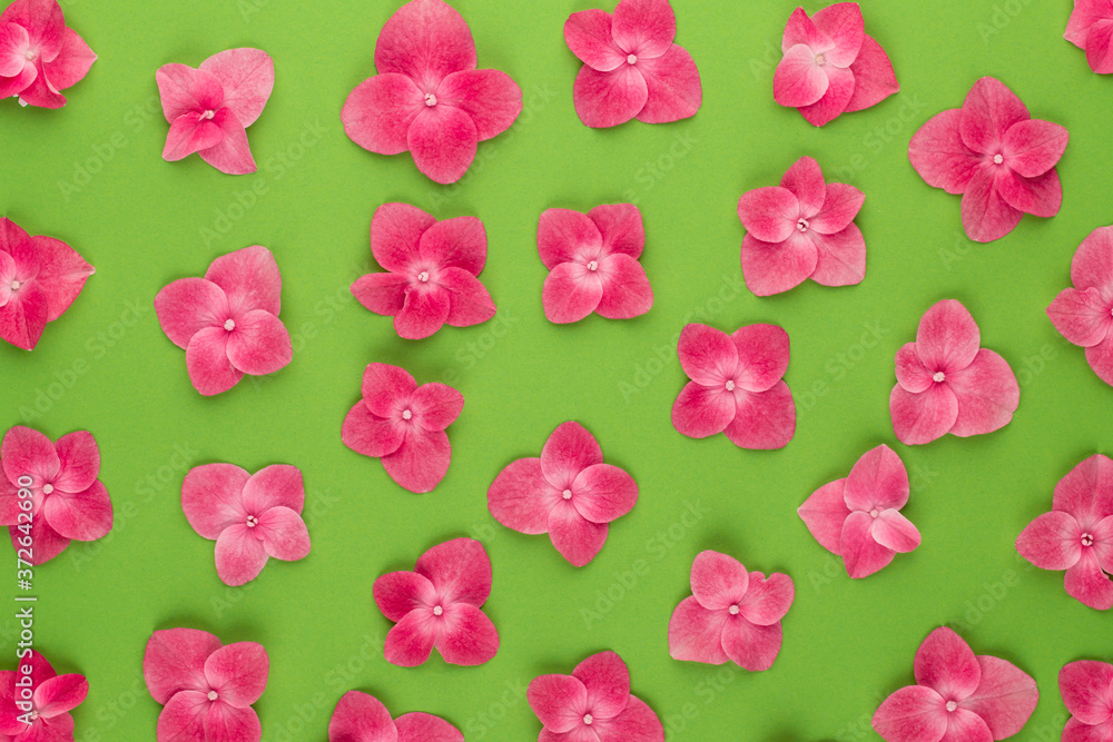 Fototapeta premium Springtime floral greeting card template.