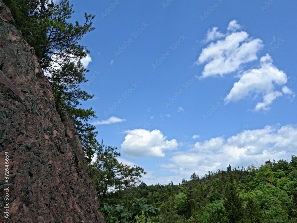 岩に生えた木々と青空