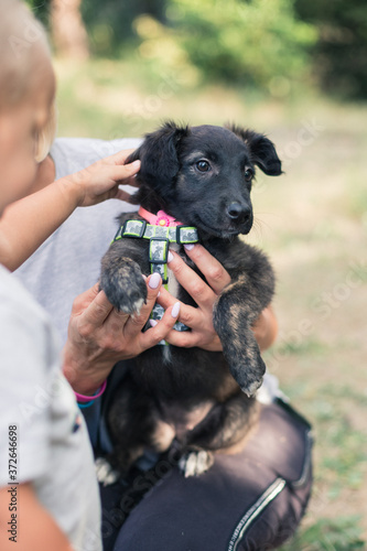 Homeless puppy on a woman’s arm. Volunteer Search for Puppies at Home  © Iryna