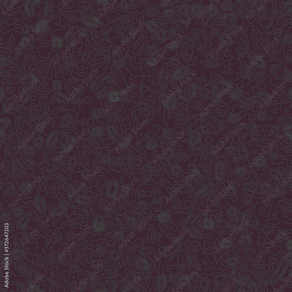 Abstract lines texture background.Map texture background Abstract lines texture background.Map texture background