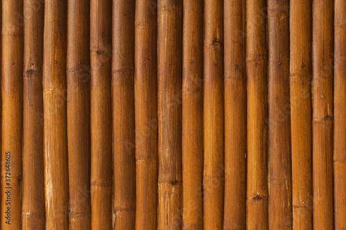 Bamboo wood texture close up