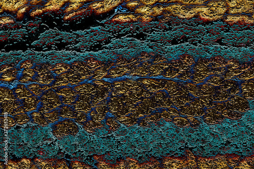 Sección transversal de un campo de hierba y trigo con sustrato dorado. Fondo artístico de fantasía. Ilustración de naturaleza idealizada.