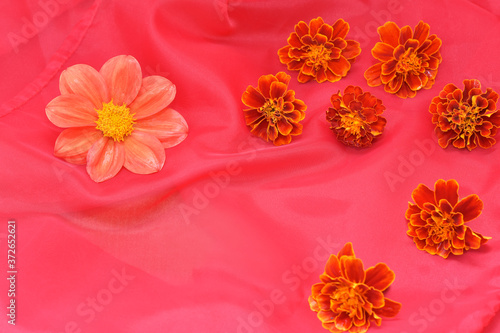 red silk backgroundflower, pink, flowers, nature, bouquet, floral, daisy, beautiful, beauty, isolated, blossom, bloom, spring, plant, summer, red, white, yellow, flora, chrysanthemum, garden, color, p photo