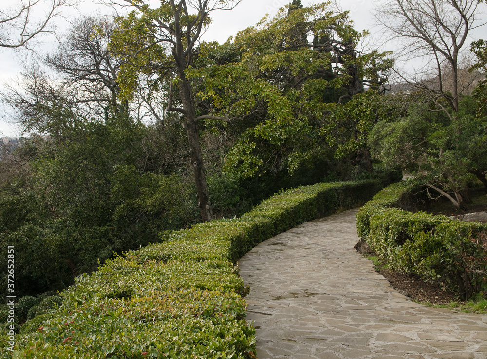 Park in Alupka (Crimea)