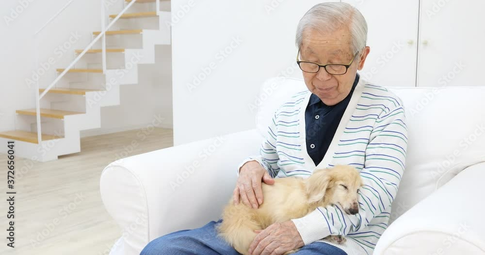 犬を抱くシニア (移動撮影) 犬を抱くシニア (移動撮影)